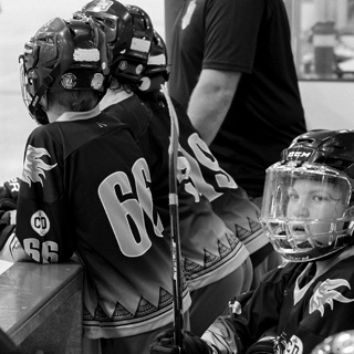 Minor players in bench waiting their turn to play.
